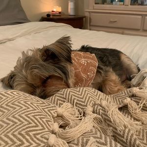 Meet your Posher, Sierra